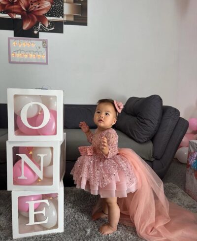 Girl Peach Sequence with Net Dress