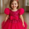 Girl pink Sequin with Net Dress